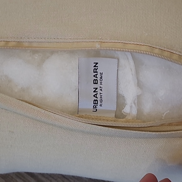 Urban Barn 16"🦋 Canvas Butterfly🦋 covers and pillow inserts set of 2 - Picture 5 of 5